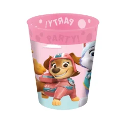 Paw Patrol Beker Skye And Everest Herbruikbaar 250ml