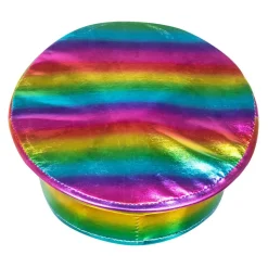 Pet Regenboog Studs