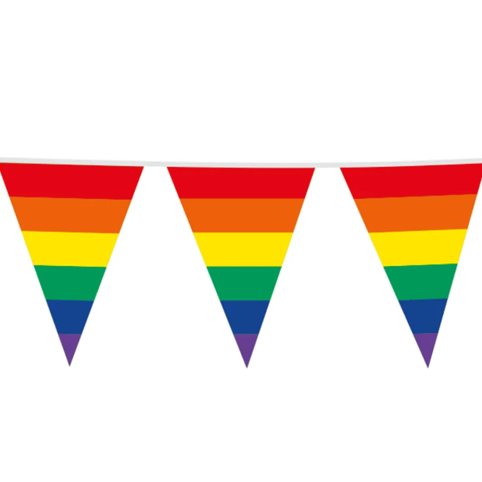 Regenboog Slinger 45Cm Vlaggen 10m