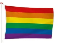 Regenboogvlag 150cm