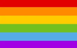 Regenboogvlag 150cm