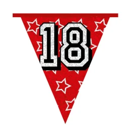 Slingers 18 Jaar Glitter 8m