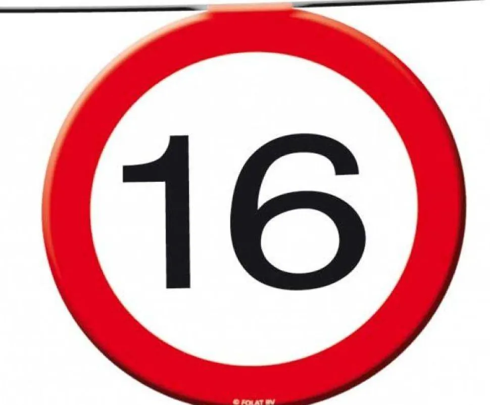 Slingers 16 Jaar Verkeersbord 12m