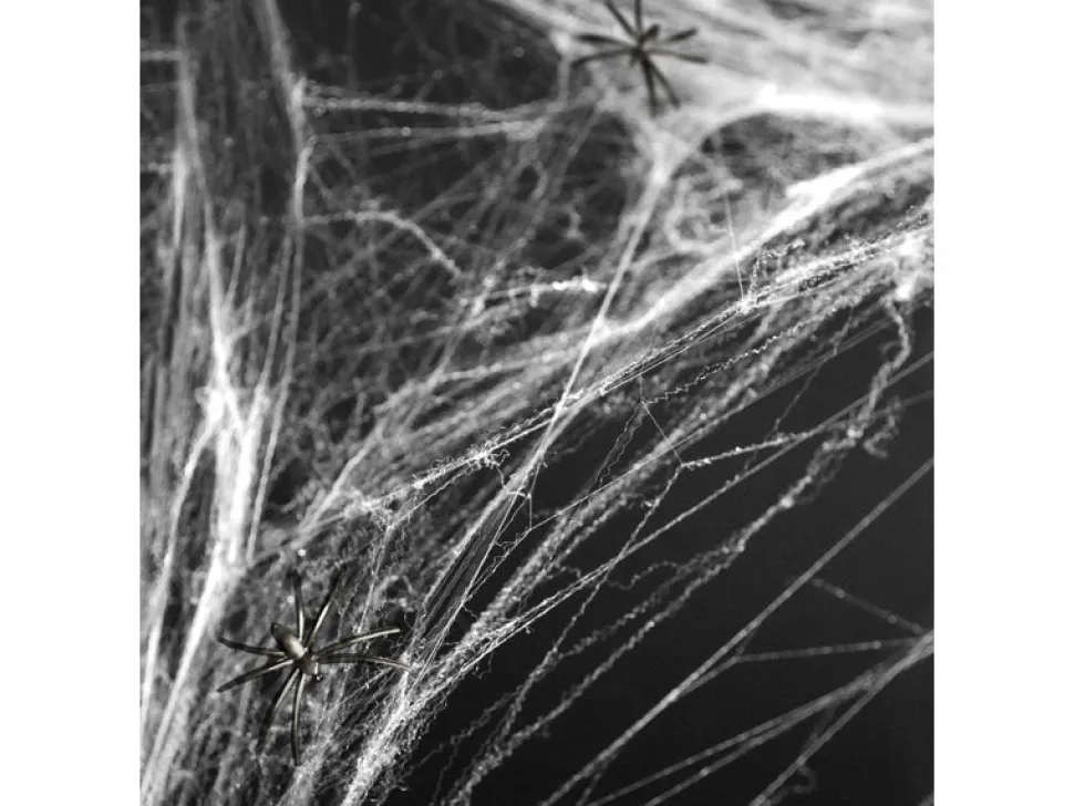 Spinnenweb Wit met 2 Spinnen 60gr