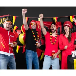 Vlaggenlijn Belgie 10m
