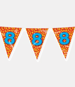 Vlaggenlijn 8 Jaar Gekleurd 10m