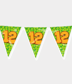 Vlaggenlijn 12 Jaar Gekleurd 10m