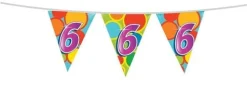 Vlaggenlijn 6 Jaar 10m