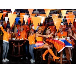 Vlaggenlijn Oranje-Rood-Wit-Blauw 10m