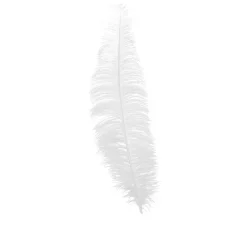 Witte Struisvogelveren 40cm 12st