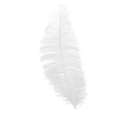 Witte Struisvogelveren 30cm 12st