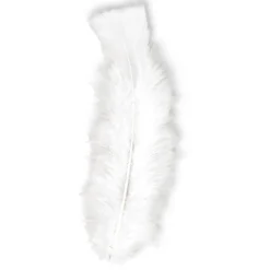 Witte Veren 50st
