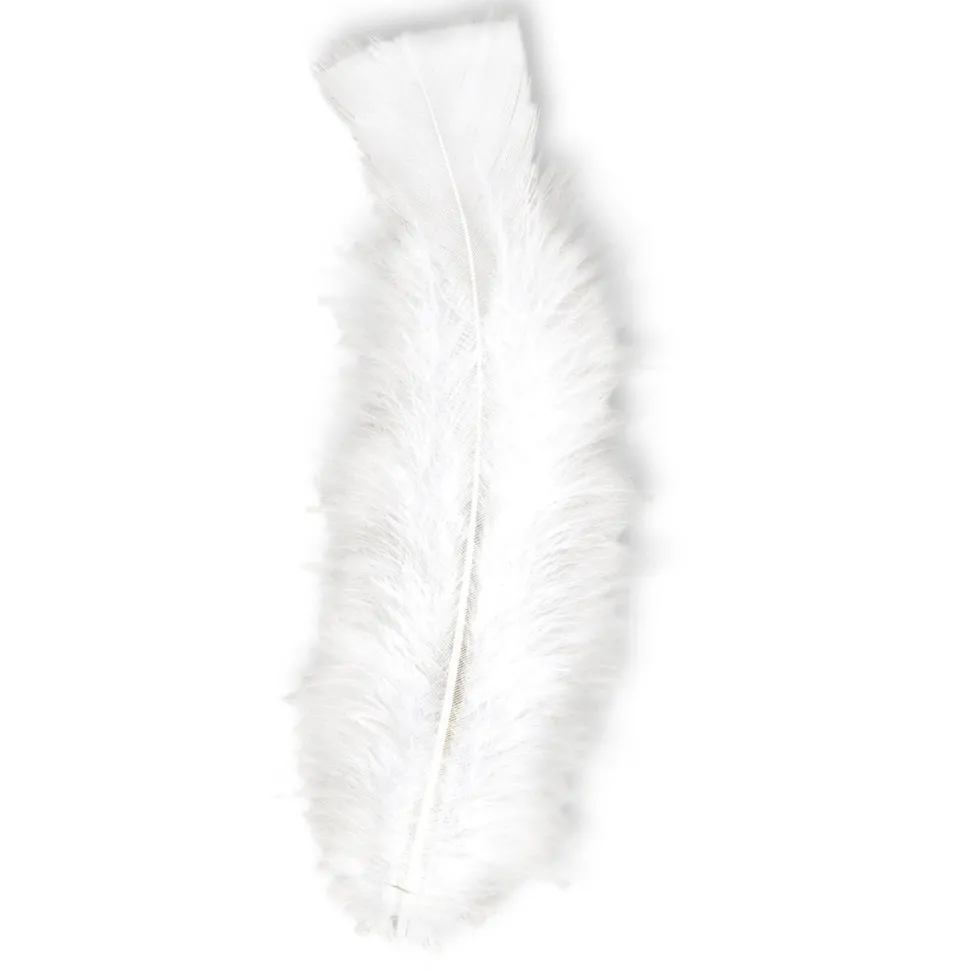 Witte Veren 50st