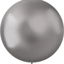 Zilveren Ballonnen Chroom 48cm 5st