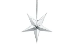 Zilveren Lampion Ster 30cm